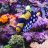 aquascapesofla