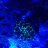 josh210