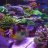 VFX_Reef_Peacekeeper
