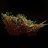 C-Reefer