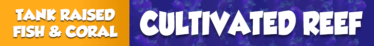 Cultivated Reef