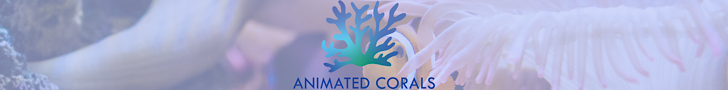 WWW.ANIMATEDCORALS.COM