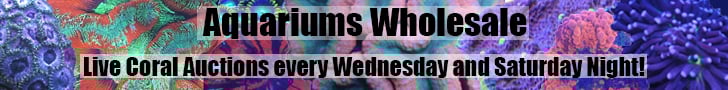 Aquariums Wholesale Live coral auctions every week
