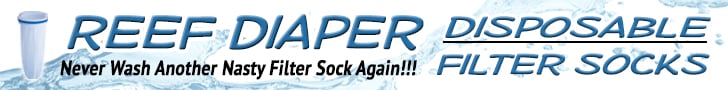 Reef Diaper