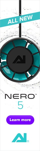 AI Nero 5