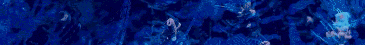 UNLEASH THE FULL POTENTIAL OF YOUR REEF