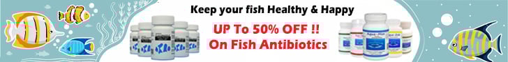 Big Sale !! UP To 50% OFF !! On Fish Antibiotics