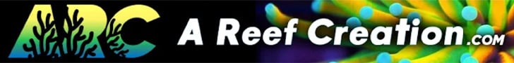 A Reef Creation