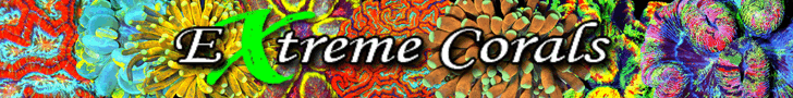 Extreme Corals