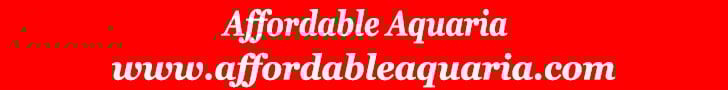https://affordableaquaria.com/