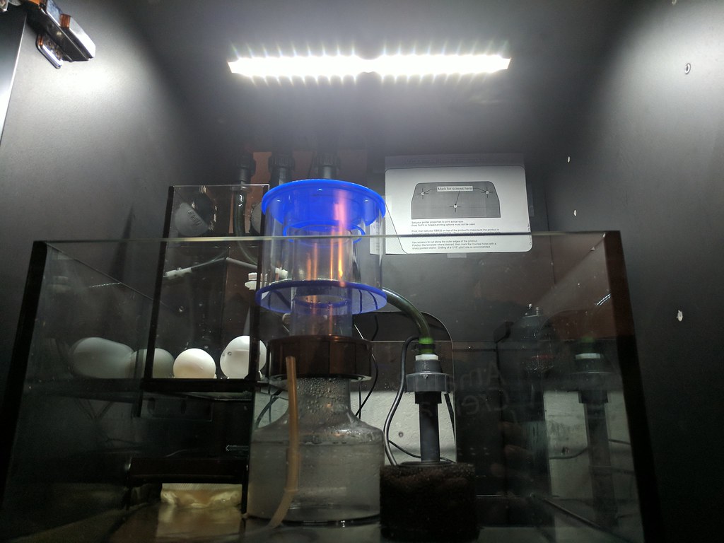 37214422730_aaf9689250_b.jpg