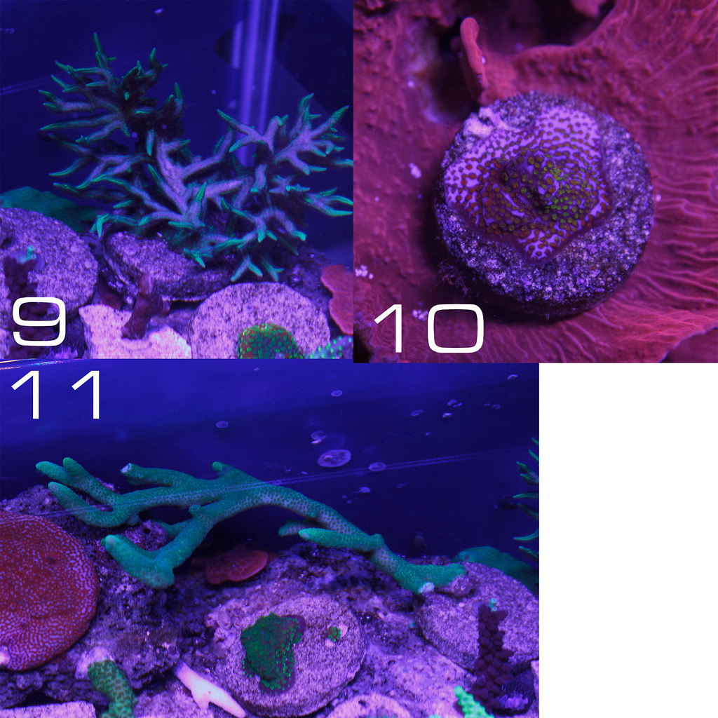 14452417941_0ac03a2380_b.jpg