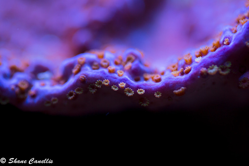 13505550515_34057c33e8_c.jpg