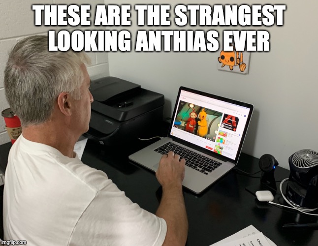 3ko419.jpg
