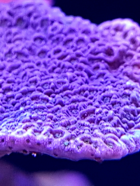 20180101_145039.jpg