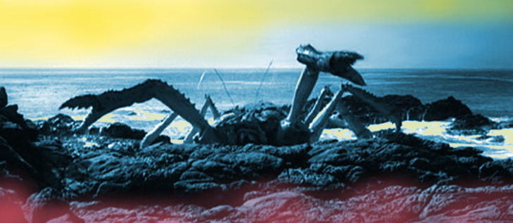 6338topCrab.jpg