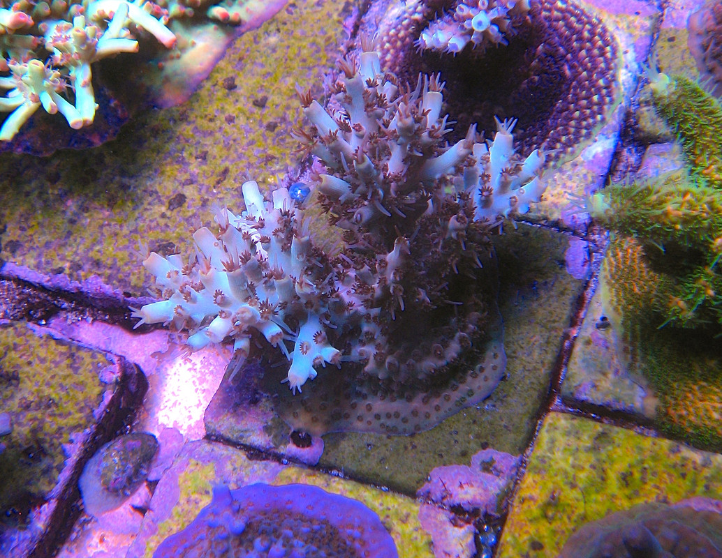 IMG_0099.jpg