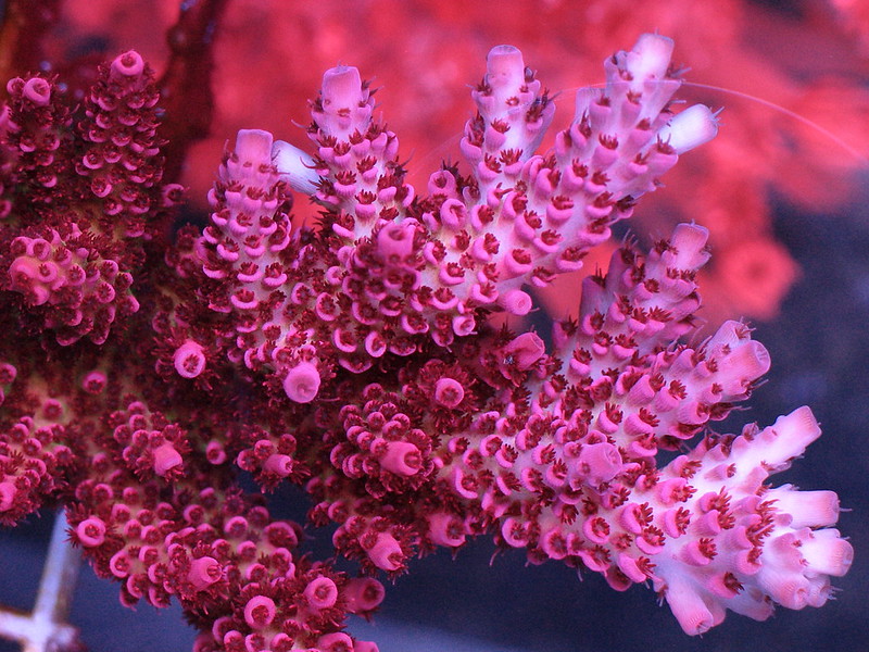 50322535503_d9bfdbaf41_c.jpg