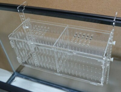 www.ebay.com