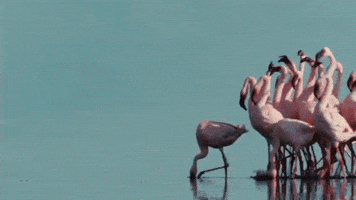 Weekend Saturday GIF by Pukkelpop