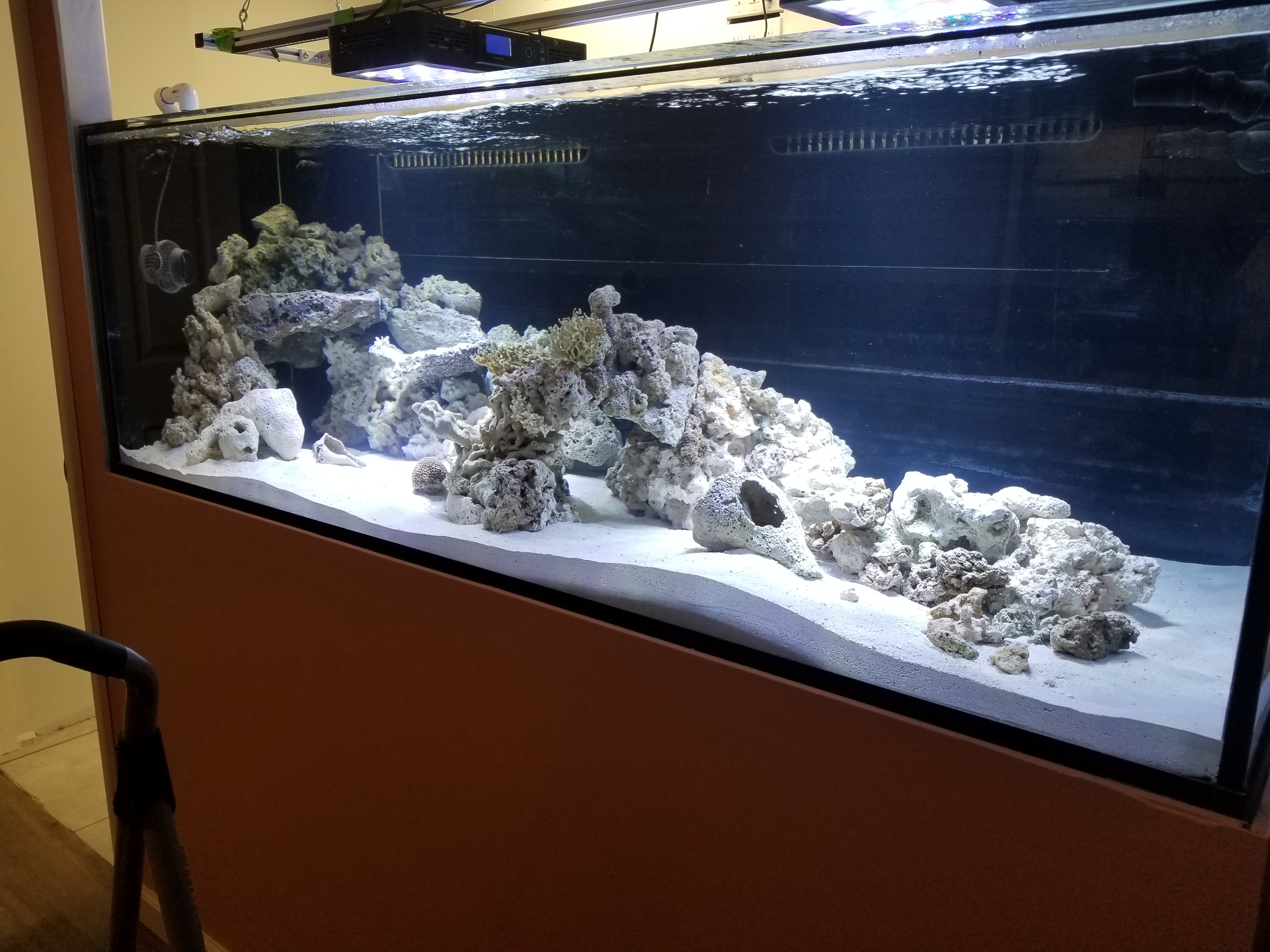 20180413_225224.jpg