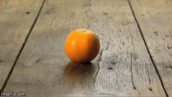 stop motion orange GIF