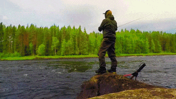 200.gif