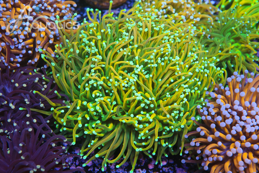 48799593986_97766456f0_b.jpg