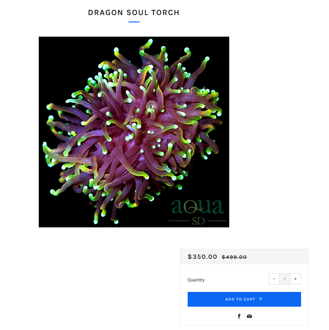 bb54137a93c065a3b33ff8a83eb7e122.png