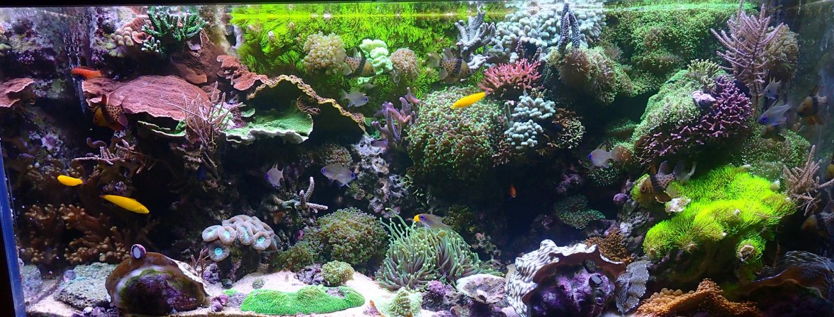 fts-3-jpg.928385