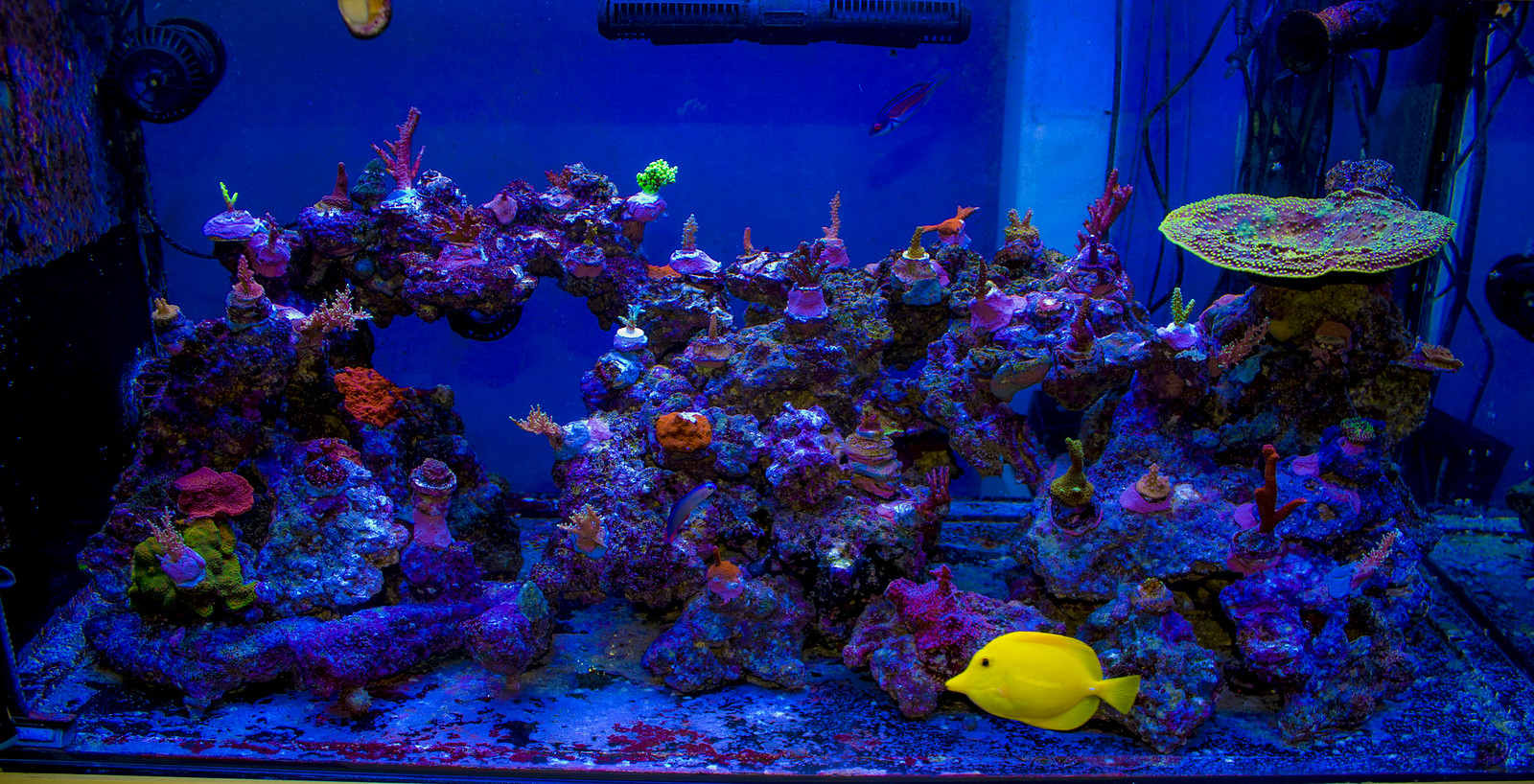 50106024508_3046f5caef_h.jpg