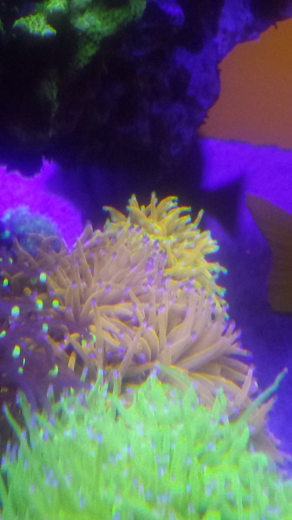 29896676985_7d68927cd9_b.jpg