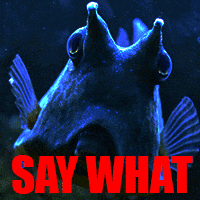 say what GIF