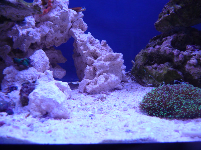 p1060640-jpg.425317