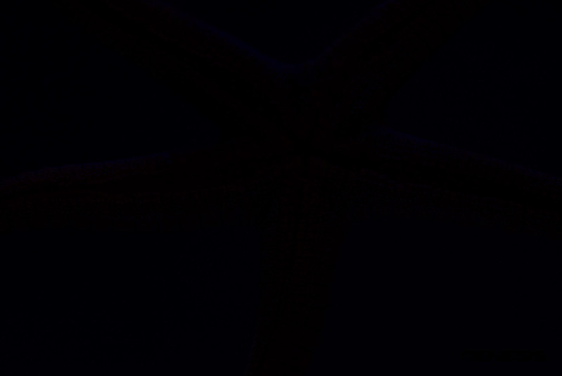 13631019505_ba3e50fef9_c.jpg