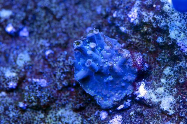 DSC_0751.jpg