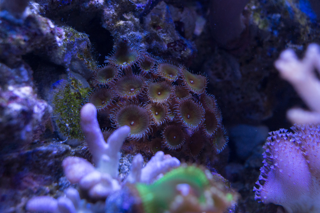 29527873070_75ecbc5b11_o.jpg