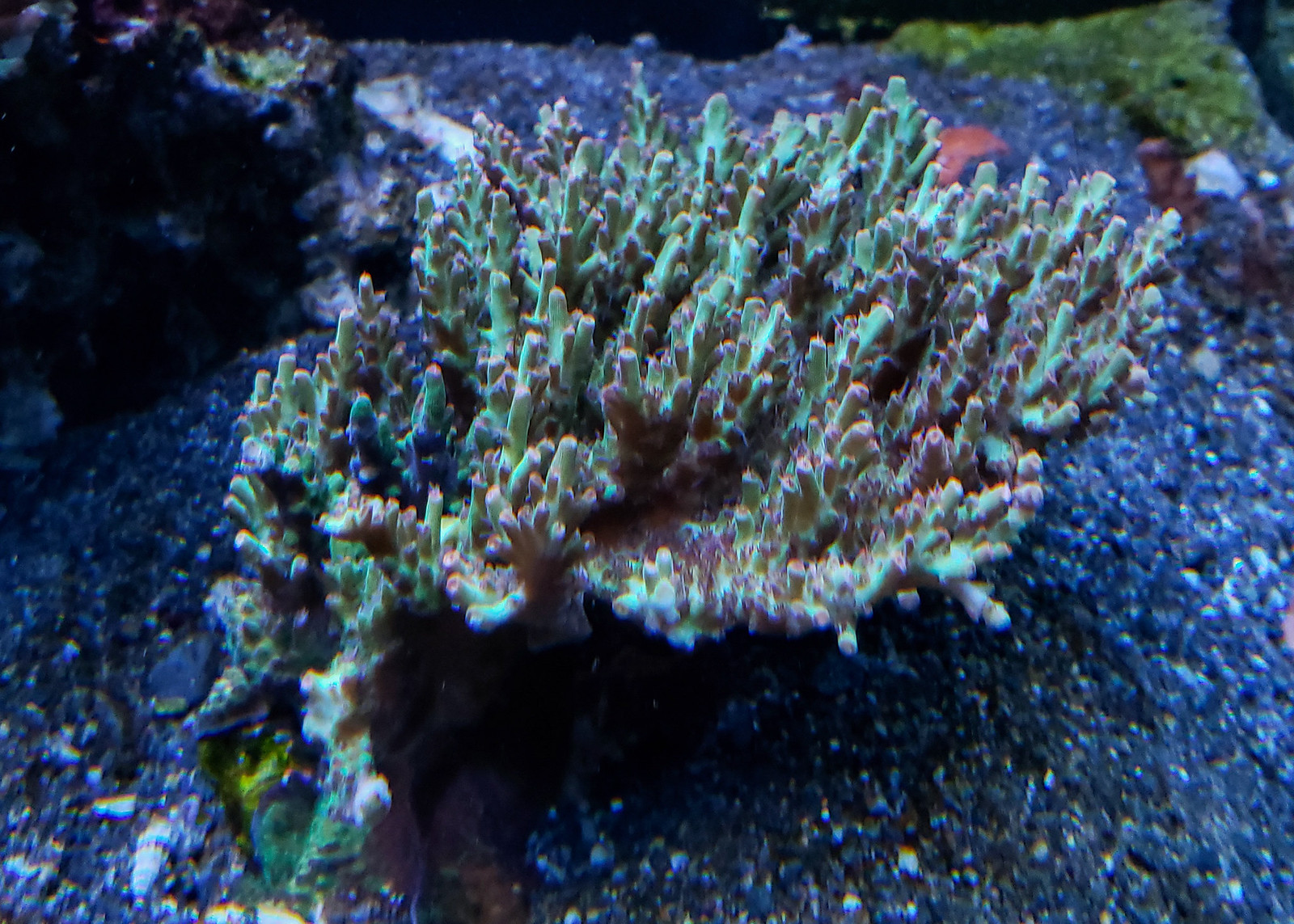 49513200177_6a7c92f90b_h.jpg