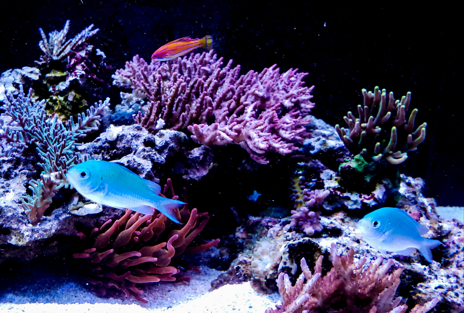 49512400992_f65d5719d5_h.jpg