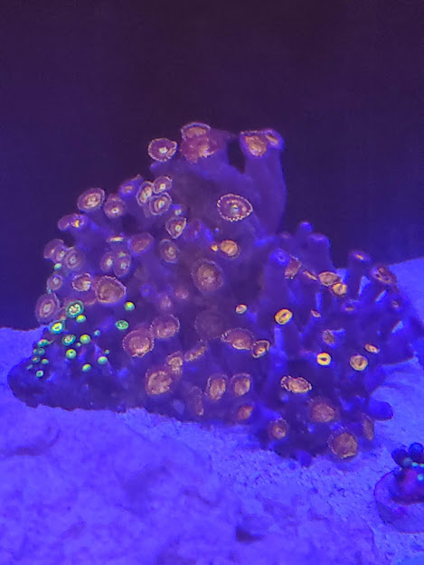 Rock-1.jpg