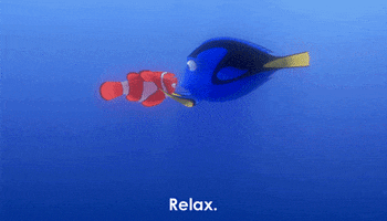calm down ellen degeneres GIF