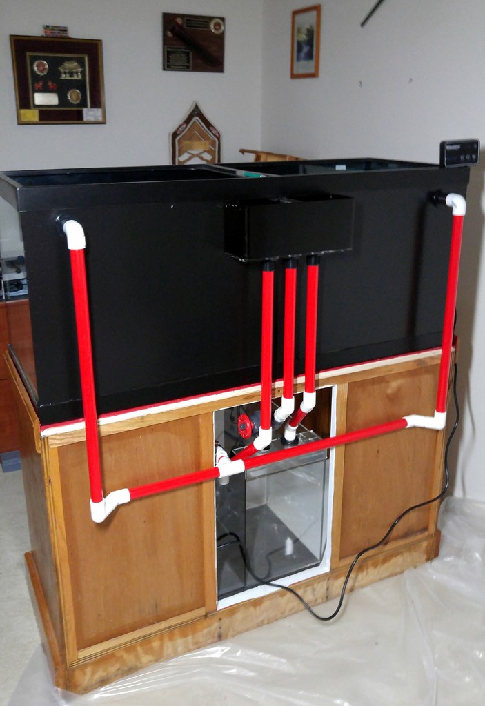 48716685402_2712c92cab_b.jpg