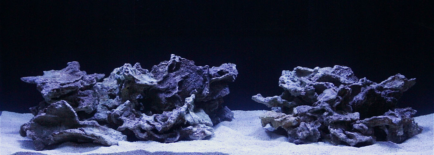 Haitian-Rock-Aquascape-Build-pic1.jpg