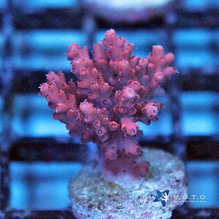 40848014043_8b65f80150_n.jpg