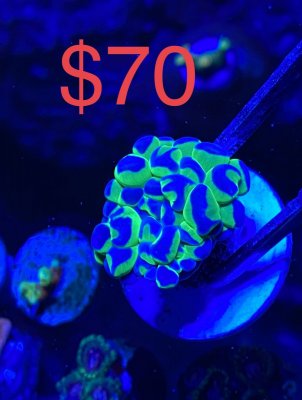 BC0D6929-F209-40AF-ACA3-F56AD0DA7146.jpeg