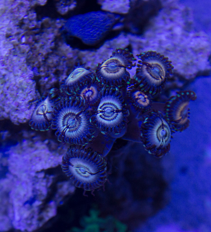 15450520141_20079c1288_c.jpg