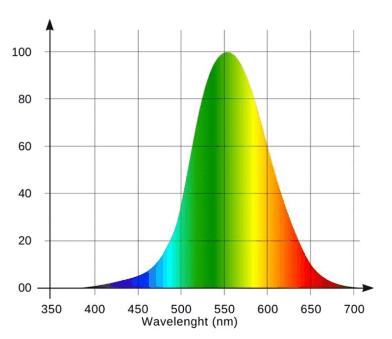 36265923485_744305216a_c.jpg