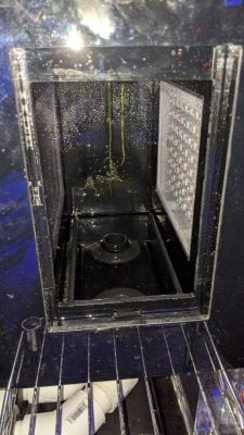 IMG_20200804_101428.jpg