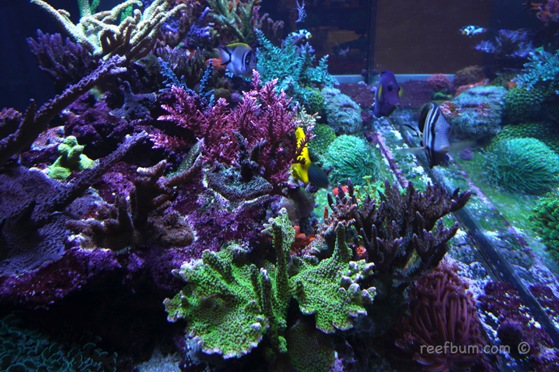 Side-Tank-Shot-June-27-2019-pic-2.jpg