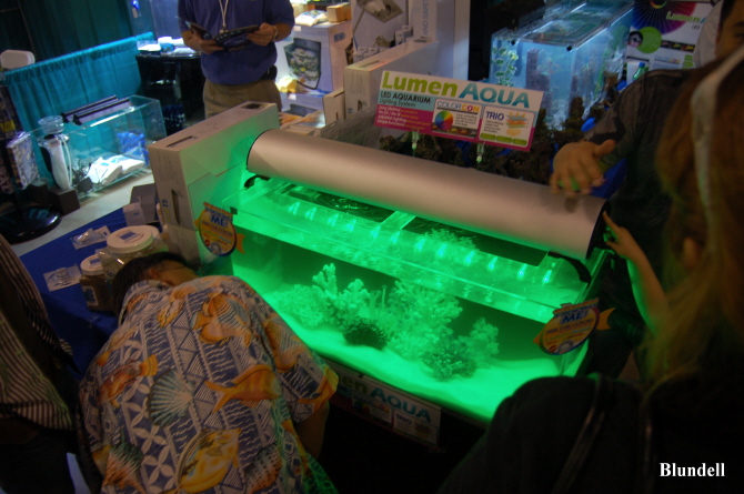 reefbuilders.com